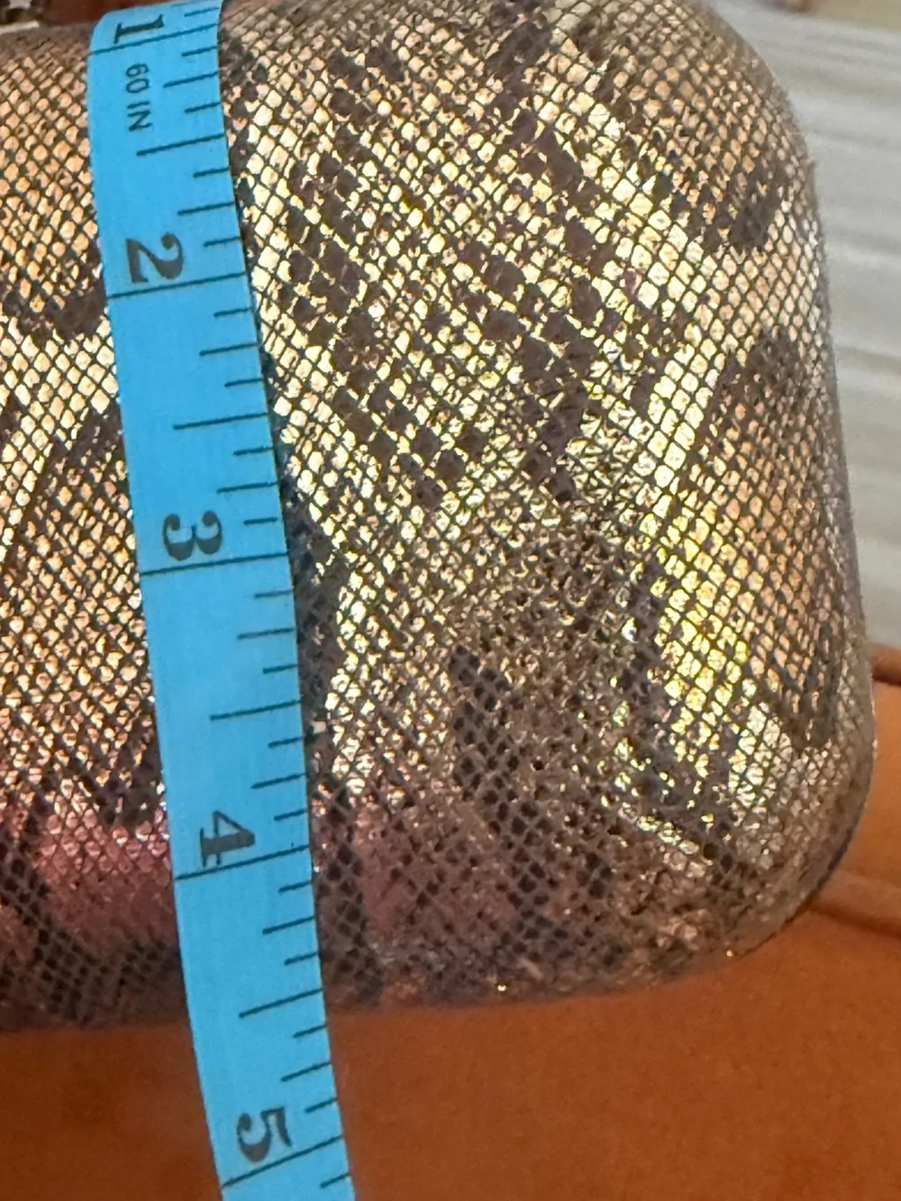 Snakeskin‎ Pattern Hard Clutch - Brown & Black